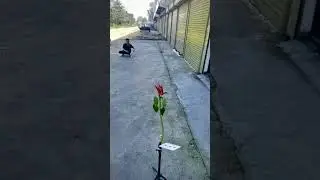 Card Throwing Trick Shots 67 