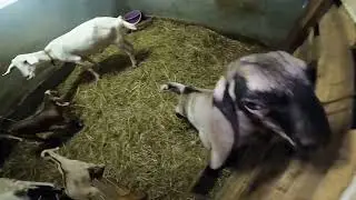 Детский сад