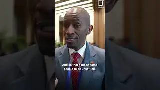 African scholar: BRI and Africa's rise has made some unsettled