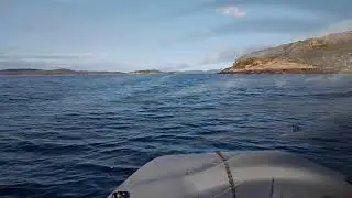 Проводы лета. Кольский залив 31.08.2018
