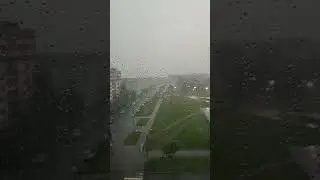 В Петербурге сегодня гроза ☔