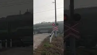 ТУМАННОЕ ОТПРАВЛЕНИЕ НЕГРА