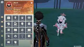 Genshin Impact Under the Map Glitch