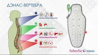 Обзор возможностей аппарата «ДЭНАС Вертебра»  Вебинар
