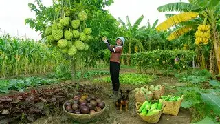 Harvest: Custard Apple, Sweet Corn, Amaranth Greens...GoTo The Market To Sell – Cook With Them