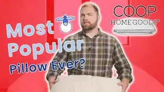 Coop Home Goods Eden Pillow Review | Best Pillow on Amazon? (2019)