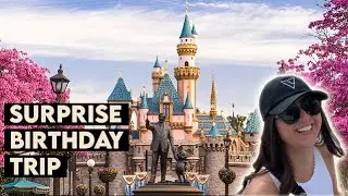 Disney Land Vlog - Girlfriends Surprise Birthday | IPhone Vlog