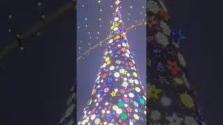 #newyear2024 #shortvideo #новыйгод2024 #жаңажыл2024 #youtubeshorts #алматы #usa #2024 #2025