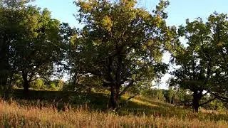 Общение с умершими. Наркоманы на том свете.