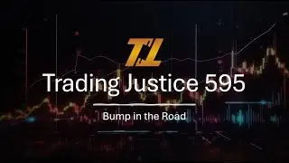 Trading Justice 595: Bump in the Road - Market Selloff