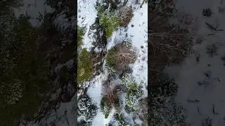 Скальник Библиотека | Олхинское плато