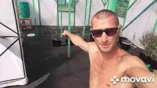 Гидропоника ОНА НЕ ВЫЛАЗИТ!!разбор Чинампы