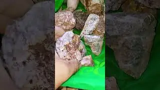 TELLURIDE GOLD ORE #shorts #minerals