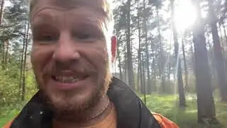 Чему детей учат в школе?