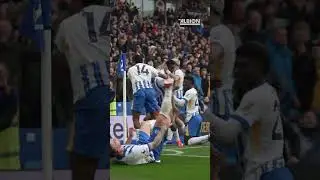 SENSATIONAL SCENES | Pedro Celebrations, Dunk Cramp and Veltman Flag Waving 😁 #brightonandhovealbion