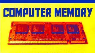Computer Memory || Concept of Computer || What is Memory || What is computer Memory