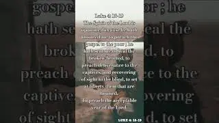 Search the Scripture 
