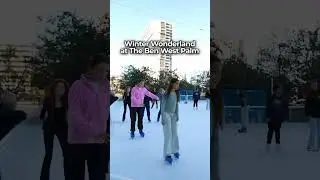 Winter Things To Do in The Palm Beaches✨❄️