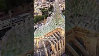 ЗАЧЕМ В НОТР ДАМ ЭТИ АРКИ  #искусство #факты #интересныефакты