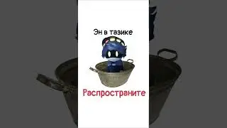 эн в тазике