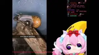 VTUBER COLLABS