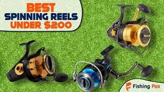 Best Spinning Reels Under $200