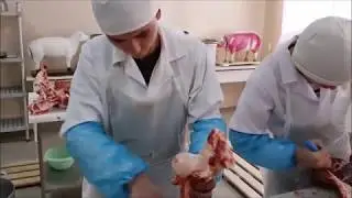 Costin Marin. Școala Profesională nr. 5