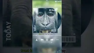 Monkey music