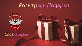 #Алёнкаплюс #Алёнка #Подарки Розыгрыш Подарка Собака Удачи