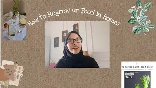 [VLOG] Regrow ur Food in Water ?!