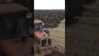 Пашня 2024