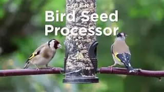 Vortex Seal Tite Diverter Handling Bird Seed