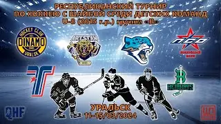 Арыстан - Динамо, Кросс-айс, U-8 (2015 гр), Группа В, 15.03.2024