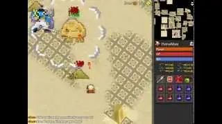 Realm of the Mad God - Tomb Solo - Wizard