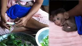 Newborn Annie want to stay and sleep with mom all the time. She loves mom.