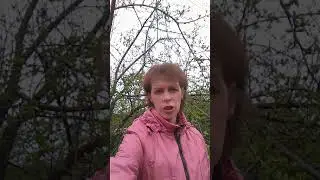 Как я выбираю услуги?
