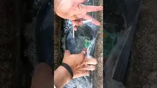 apni chijen dhundho|#shorts |#short
