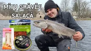 Mītu grāvēji! Kas notiek kad uz copi līdzi paņem zivis? Laši un taimiņi Salacā 2024!