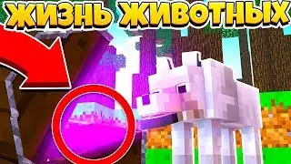 ПЁС И ОПАСНАЯ ПОСЫЛКА ИЗ ДАРКНЕТА | ЖИЗНЬ ЖИВОТНЫХ В МАЙНКРАФТ #2