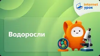 Водоросли. Видеоурок по биологии 5 класс