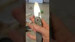 vosteed Ankylo- the button lock of the future! #edc #pivotbuttonlock #vosteedankylo