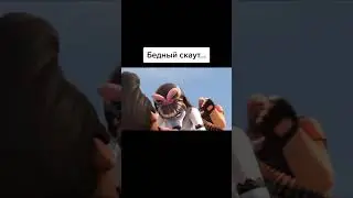 Мемы по ТикТоку #987