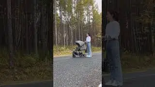 Детская коляска Luxmom Когда весенний цветок и осенняя луна, как много вы знаете о прошлом.