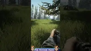 Adjust movement speed in Tarkov (Escape From Tarkov Beginner Tips)