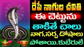 రేపే నాగుల చవితి ఈ చెట్టును తాకితే చాలు నాగ,సర్ప దోషాలు పోతాయి.కుబేరులే ! || Nagula Chaviti