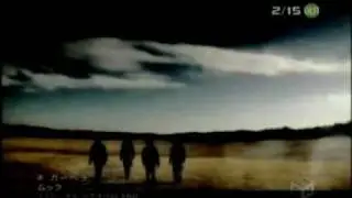 Mucc - Gerbera [PV]