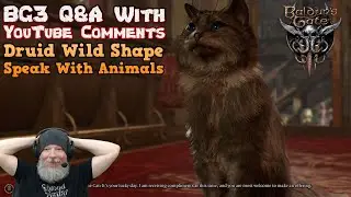 Baldur's Gate 3 Q&A - Does Moon Druid Wild Shape Give You The Speak With Animal Spell Effect?