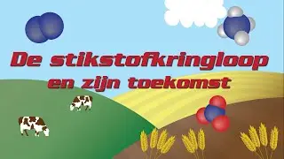 De stikstofkringloop en zijn toekomst