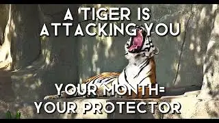 Did you survive?
