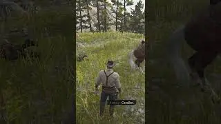 O RECOMEÇO NO OESTE - RED DEAD REDEMPTION 2 - PT3 #Shorts
